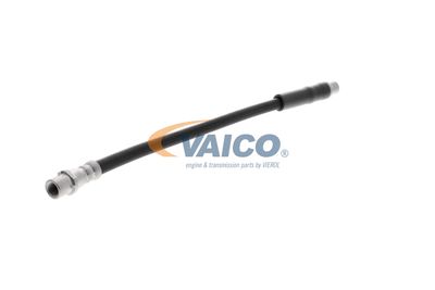 FURTUN FRANA VAICO V250900 53