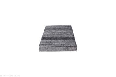 FILTRU AER HABITACLU AUTOMEGA 180005610 3