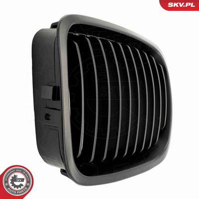 GRILA RADIATOR ESEN SKV 66SKV062 6