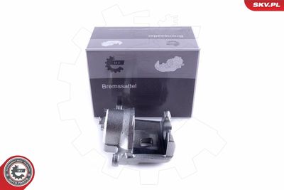 Brake Caliper 55SKV062