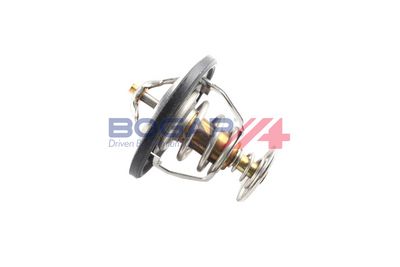 TERMOSTAT LICHID RACIRE