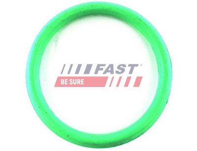 Těsnění, koleno sacího potrubí FAST FT49434