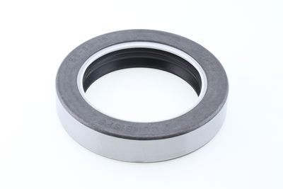 Dichtring
