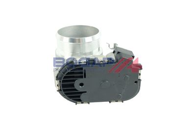 CARCASA CLAPETA BOGAP V6319100 3