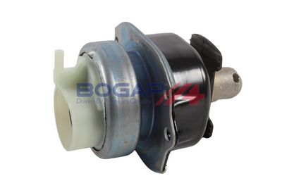 BOGAP Variklio montavimas