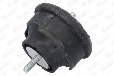 SUPORT MOTOR BIRTH 50123 11