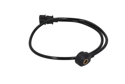 Detonacijos jutiklis