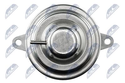 AGR - Ventil NTY EGR-PL-002