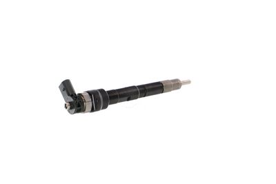 INJECTOR REMANTE 002003000034R 33