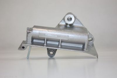 AMORTIZOR VIBRATII CUREA DISTRIBUTIE