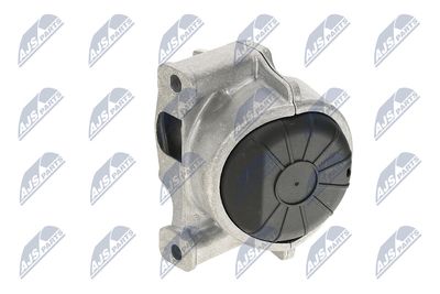 SUPORT MOTOR NTY ZPSAU052 25