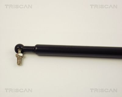 AMORTIZOR PORTBAGAJ TRISCAN 871014213 1