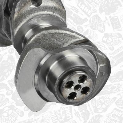 ARBORE COTIT ET ENGINETEAM HK0211 4