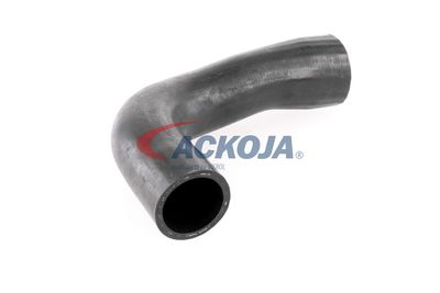 FURTUN EAR SUPRAALIMENTARE ACKOJA A389600 51
