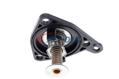 TERMOSTAT LICHID RACIRE ACKOJA A26990012 48