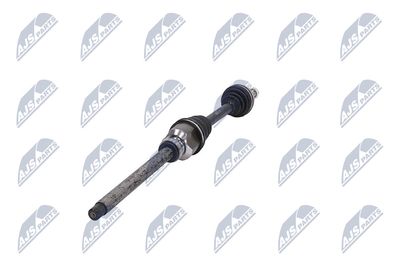 PLANETARA NTY NPWPE081 36