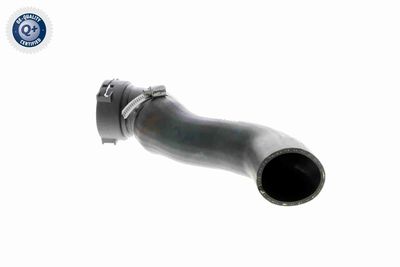 FURTUN EAR SUPRAALIMENTARE VAICO V201620 2