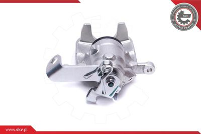 Brake Caliper 56SKV244