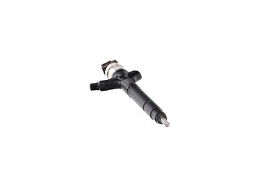 INJECTOR REMANTE 002003002039R 51