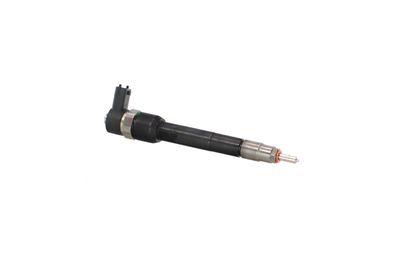 INJECTOR REMANTE 002003001160R 43