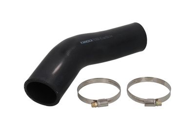 FURTUN EAR SUPRAALIMENTARE