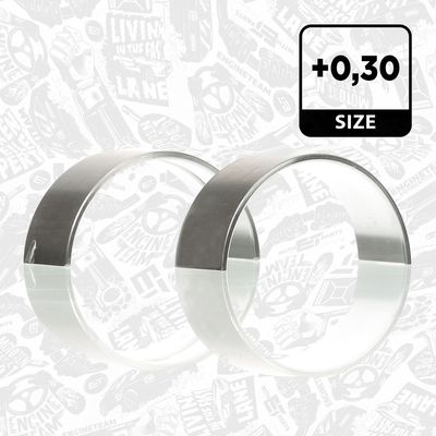 SET RULEMT ARBORE COTIT ET ENGINETEAM LH006230 3