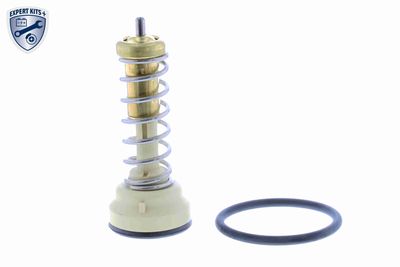 TERMOSTAT LICHID RACIRE