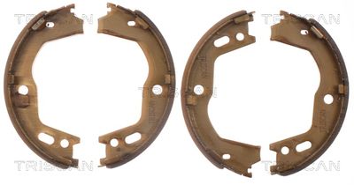 TRISCAN Bremsbackensatz, Feststellbremse