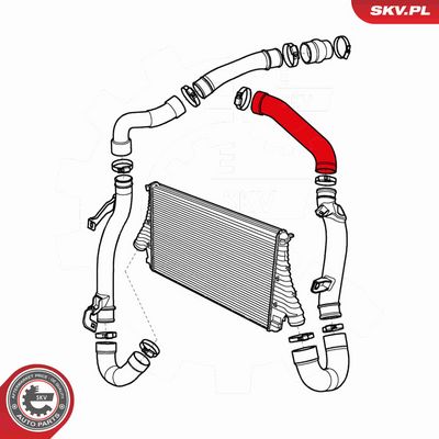 FURTUN EAR SUPRAALIMENTARE ESEN SKV 24SKV992 3