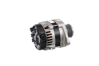 GENERATOR / ALTERNATOR REMANTE 011003001146R 42