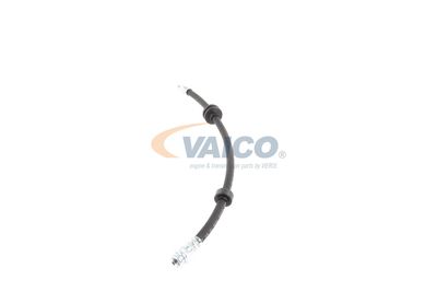 FURTUN FRANA VAICO V240328 13