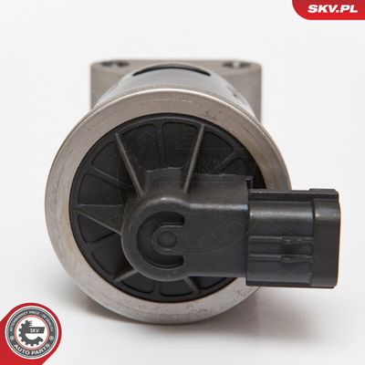 AGR-Ventil ESEN SKV 14SKV053