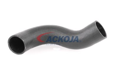 FURTUN EAR SUPRAALIMENTARE ACKOJA A380298 11