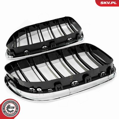 GRILA RADIATOR ESEN SKV 66SKV208 5