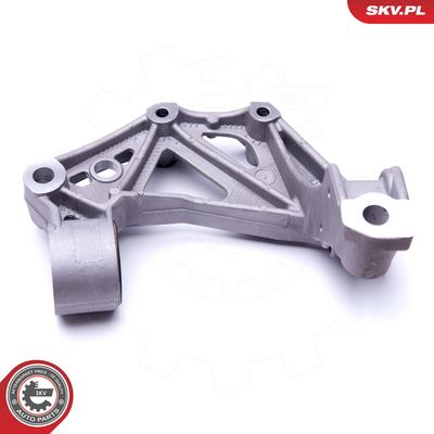 Pasukamasis kakliukas, rato pakaba