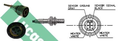 SONDA LAMBDA LUCAS LEB5079