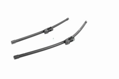 WISCHBLATT VAICO V990107 6