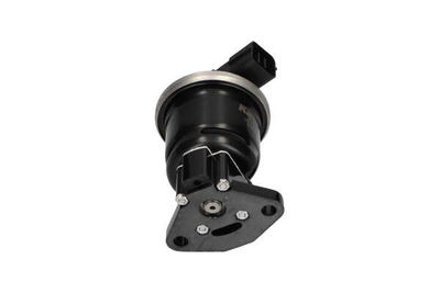 SUPAPA EGR Kavo Parts EEG2006 22