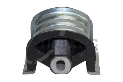 TRUCKTEC AUTOMOTIVE Variklio montavimas