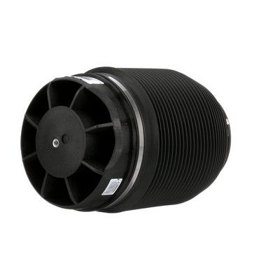 LUFTFEDER FAHRWERK Arnott A2960 13