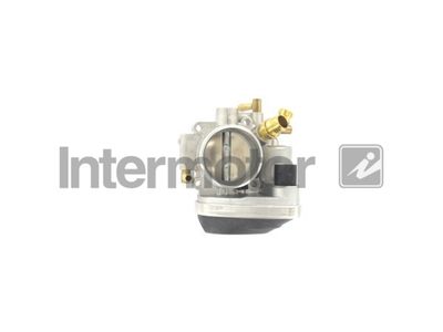 Throttle Body Intermotor 68316