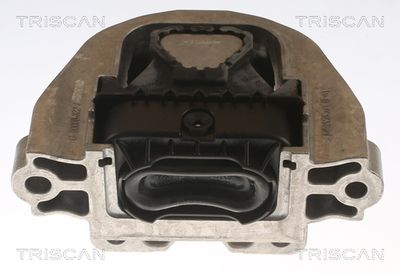 Zacisk hamulca TRISCAN 8175 29179