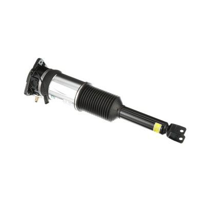 LUFTFEDERBEIN Arnott AS2966 42