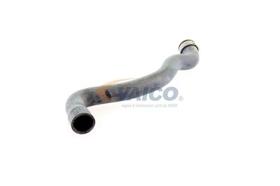 KüHLERSCHLAUCH VAICO V301655 28
