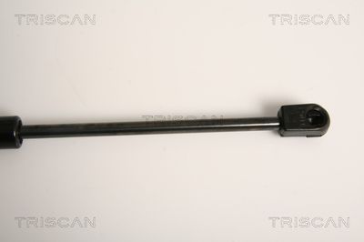 AMORTIZOR LUNETA TRISCAN 871015242 2