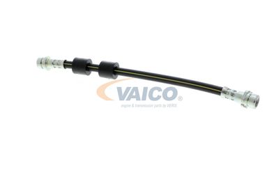 FURTUN FRANA VAICO V251328 14