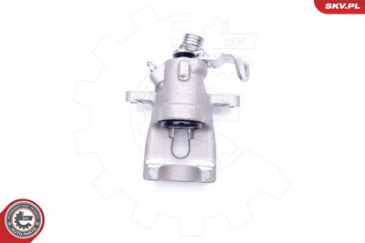 Brake Caliper 34SKV484