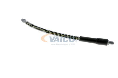 FURTUN FRANA VAICO V464113 39