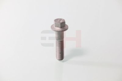 SURUB CAPAT DE AX GH GH392549 55