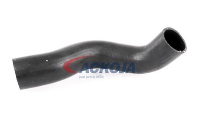 FURTUN EAR SUPRAALIMENTARE ACKOJA A380307 58